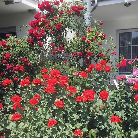 Strandkieker 14, Pp Innen Apartament